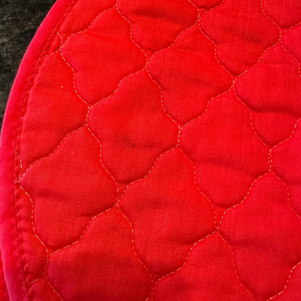 Strawberry Shortcake Vintage 80s Handmade Quilted Placemats Set of 2 16" - Picture 7 of 8
